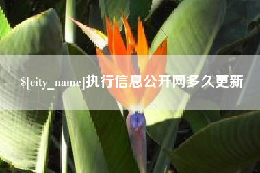 沂源执行信息公开网多久更新