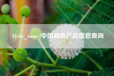 沂源中国消防产品信息查询