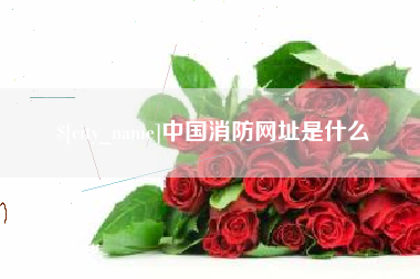 沂源中国消防网址是什么