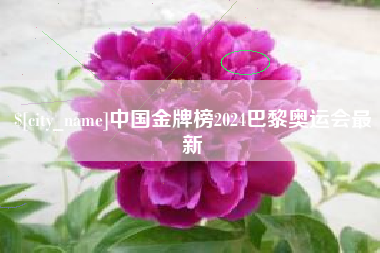 沂源中国金牌榜2024巴黎奥运会最新