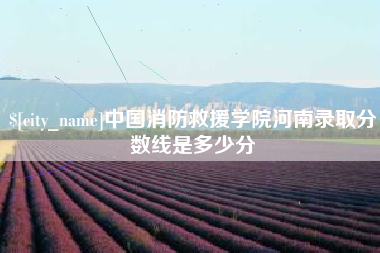 沂源中国消防救援学院河南录取分数线是多少分