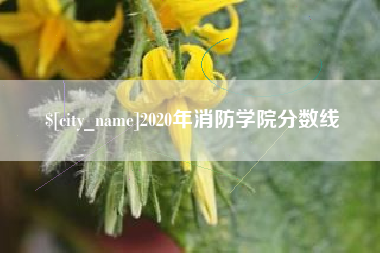 沂源2020年消防学院分数线