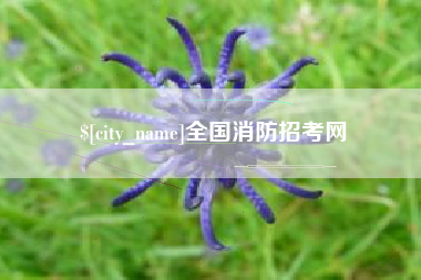 沂源全国消防招考网