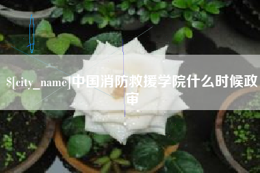 沂源中国消防救援学院什么时候政审