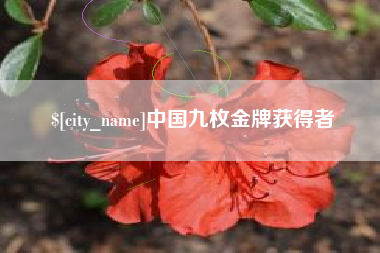 沂源中国九枚金牌获得者
