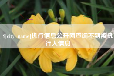 沂源执行信息公开网查询不到被执行人信息