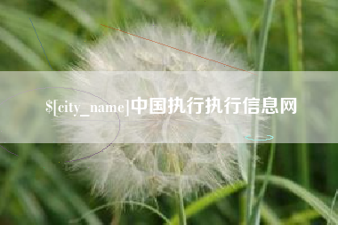 沂源中国执行执行信息网