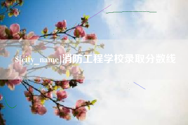 沂源消防工程学校录取分数线