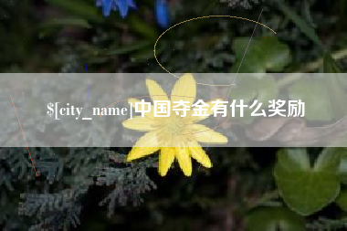 沂源中国夺金有什么奖励