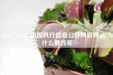 沂源中国执行信息公开网官网app为什么要钱呢