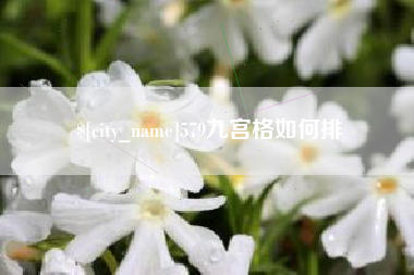 沂源579九宫格如何排