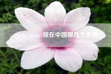 沂源现在中国哪几个金牌