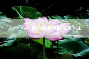 沂源消防证国网查询操作证