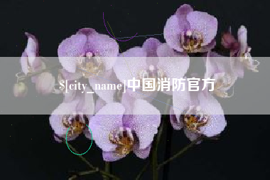 沂源中国消防官方
