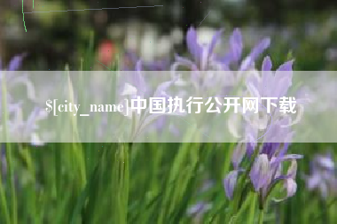 沂源中国执行公开网下载