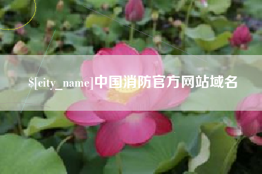 沂源中国消防官方网站域名