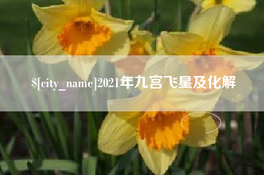 沂源2021年九宫飞星及化解