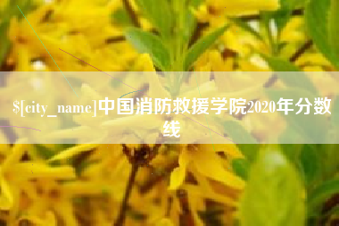 沂源中国消防救援学院2020年分数线