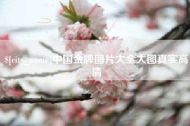 沂源中国金牌图片大全大图真实高清