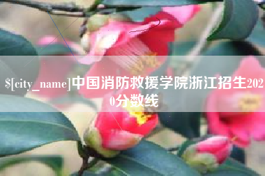 沂源中国消防救援学院浙江招生2020分数线