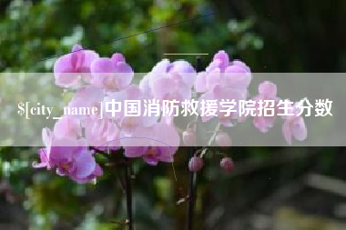 沂源中国消防救援学院招生分数