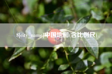 沂源中国地图(含比例尺)