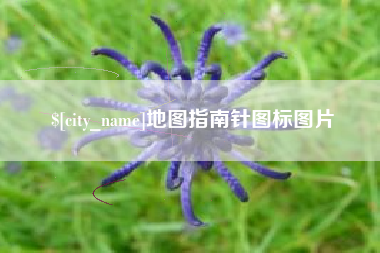 沂源地图指南针图标图片