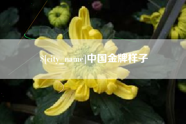 沂源中国金牌样子