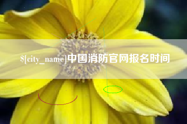 沂源中国消防官网报名时间