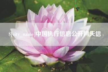 沂源中国执行信息公开网失信