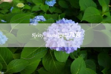 沂源2022九宫