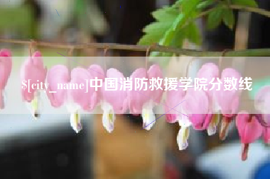 沂源中国消防救援学院分数线