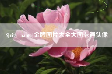 沂源金牌图片大全大图卡通头像