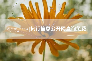 沂源执行信息公开网查询免费