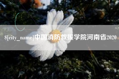 沂源中国消防救援学院河南省2020